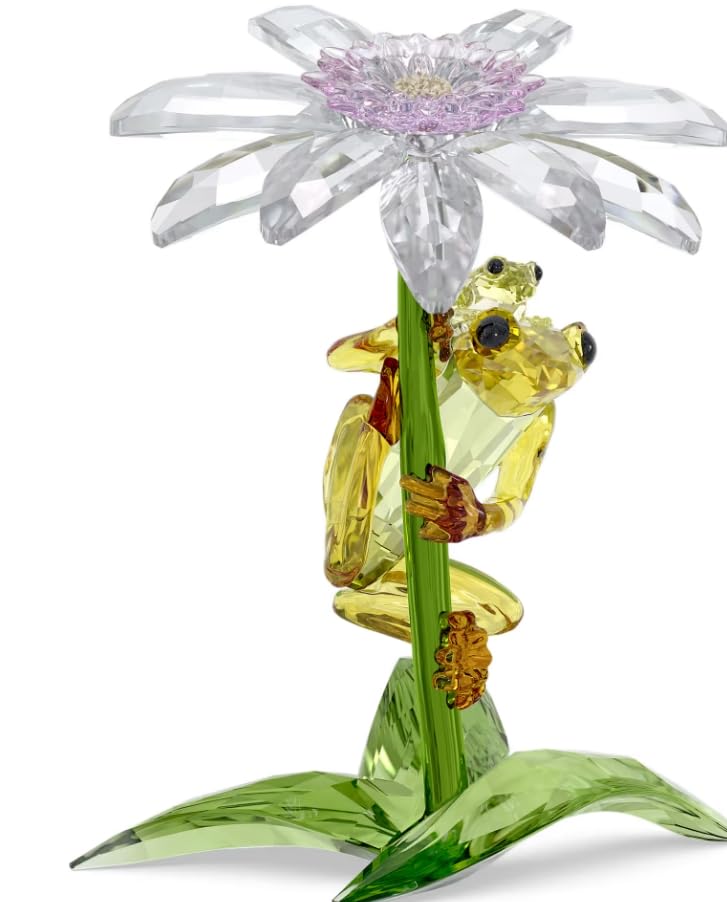 Amazon.com: Swarovski Idyllia Frogs and Flower : Home & Kitchen